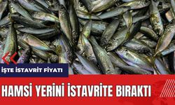 Hamsi yerini istavrite bıraktı! İşte istavrit fiyatı