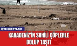 Karadeniz'in sahili çöplerle dolup taştı
