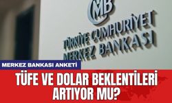 Merkez Bankası anketi: TÜFE ve dolar beklentileri artıyor mu?