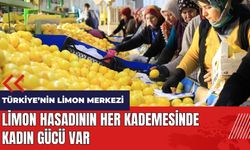 Mersin'de limon hasadının her kademesinde kadın gücü var