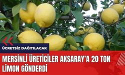 Mersinli üreticiler Aksaray’a 20 ton ücretsiz limon gönderdi