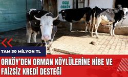 ORKÖY'den orman köylülerine hibe ve faizsiz kredi desteği