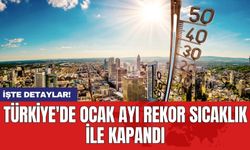 Türkiye'de Ocak ayı rekor sıcaklık ile kapandı