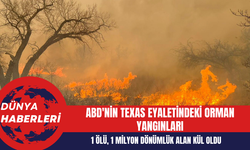 ABD'nin Texas Eyaletindeki Orman Yangınları: 1 Kişi Hayatını Kaybetti 1 Milyon Dönümlük Alan Kül Oldu