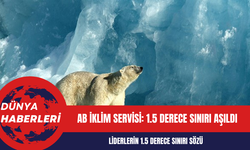 AB İklim Servisi: 1.5 Derece Sınırı Aşıldı