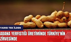 Adana yerfıstığı üretiminde Türkiye'nin zirvesinde