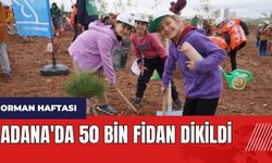Adana'da 50 bin fidan dikildi