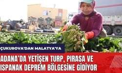 Adana’da yetişen turp pırasa ve ıspanak deprem bölgesine gidiyor