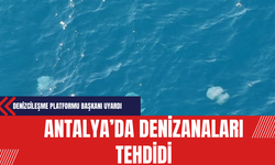 Antalya’da Denizanaları Tehdidi: Denizcileşme Platformu Başkanı Uyardı