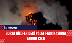Bursa Nilüfer'deki Palet Fabrikasında Yangın Çıktı