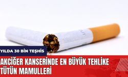 Akciğer kanserinde en büyük tehlike tütün mamulleri