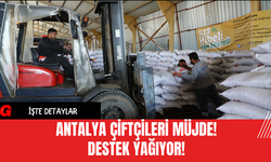 Antalya Çiftçileri Müjde! Destek Yağıyor!