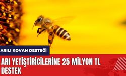 Arı yetiştiricilerine 25 Milyon TL arılı kovan desteği