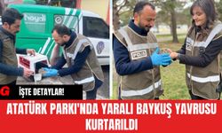 Atatürk Parkı'nda Yaralı Baykuş Yavrusu Kurtarıldı