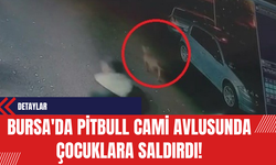 Bursa'da Pitbull Cami Avlusunda Çocuklara Saldırdı!