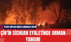Çin'in Sichuan Eyaletinde Orman Yangını: İtfaiye Ekipleri Süratle Müdahale Ediyor