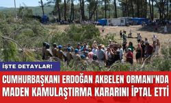 Cumhurbaşkanı Erdoğan Akbelen Ormanı'nda maden kamulaştırma kararını iptal etti