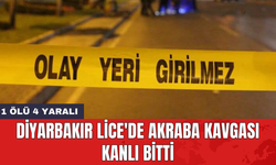Diyarbakır Lice'de akraba kavgası kanlı bitti: 1 öl* 4 yaralı