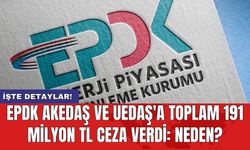 EPDK AKEDAŞ ve UEDAŞ'a toplam 191 milyon TL ceza verdi: Neden?