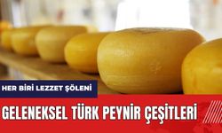 Geleneksel Türk peynir çeşitleri hangileri?