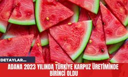 Adana 2023 Yılında Türkiye Karpuz Üretiminde Birinci Oldu