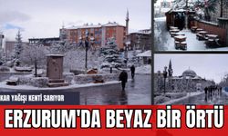 Erzurum'da Beyaz Bir Örtü: Kar Yağışı Kenti Sarıyor