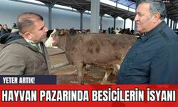 Hayvan Pazarında Besicilerin İsyanı: Yeter Artık!