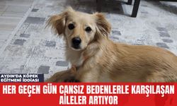 Aydın'da Köpek Eğitmeni İddiası: Her Geçen Gün Cansız Bedenlerle Karşılaşan Aileler Artıyor