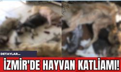 İzmir'de Hayvan Katliamı!