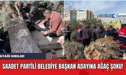Saadet Partili Belediye Başkan Adayına Ağaç Şoku! Ayağı Kırıldı!