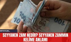 Seyyanen Zam Nedir? Seyyanen Zammın Kelime Anlamı