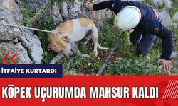 Hatay'da köpek uçurumda mahsur kaldı