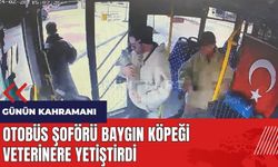 Isparta'da otobüs şoförü baygın köpeği veterinere yetiştirdi