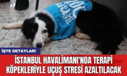 İstanbul Havalimanı'nda Terapi Köpekleriyle Uçuş Stresi Azaltılacak