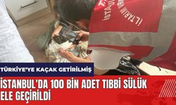 İstanbul'da 100 bin adet tıbbi sülük ele geçirildi