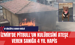 İzmir'de Pitbull'un Kulübesini Ateşe Veren Sanığa 4 Yıl Hapis