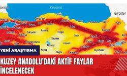 Kuzey Anadolu'daki aktif faylar incelenecek