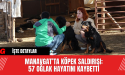 Manavgat’ta Köpek Saldırısı: 57 Oğlak Hayatını Kaybetti