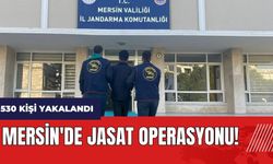 Mersin'de JASAT operasyonu! 530 kişi yakalandı