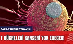 T hücreleri kanseri yok edecek! CART-T hücre tedavisi