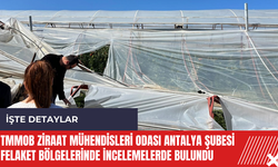 TMMOB Ziraat Mühendisleri Odası Antalya Şubesi felaket bölgelerinde incelemelerde bulundu