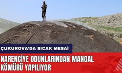 Adana Çukurova'da narenciye odunlarından mangal kömürü yapılıyor