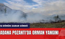 Adana Pozantı'da orman yangını! 12 dönüm zarar gördü