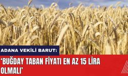 Adana Vekili Barut: Buğday taban fiyatı en az 15 lira olmalı