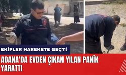 Adana'da evden çıkan yılan panik yarattı