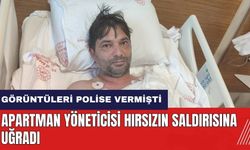 Adana'da görüntüleri polise veren yönetici hırsızın saldırısına uğradı