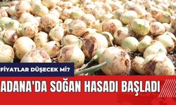 Adana'da soğan hasadı başladı! Soğan fiyatları düşecek mi?