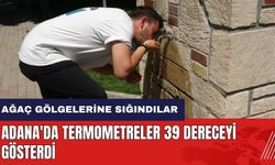 Adana'da termometreler 39 dereceyi gösterdi