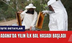 Adana'da yılın ilk bal hasadı başladı!