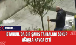 İstanbul'da Bir Şahıs Tahtaları Söküp Ağaçla Kavga Etti